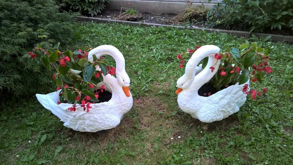 B&B San Giorgio Sovramonte エクステリア 写真